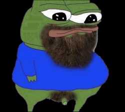 729 KB