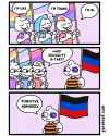 243 KB