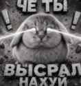 109 KB