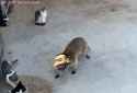 2.08 MB