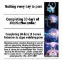 146 KB