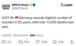 271 KB