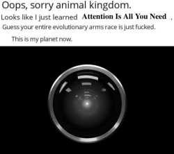 76 KB