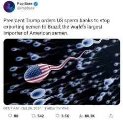 425 KB
