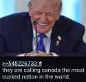 202 KB