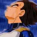 vegeta-vegeta-rain