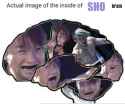 sho brain