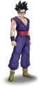 Gohan_anime_profile_3