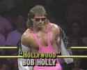 hollywood_holly