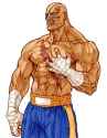 c_sagat