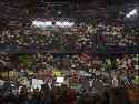 crowd