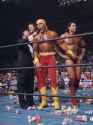 nwo1