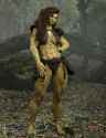 ron-reiserer-02-sheorc-pop