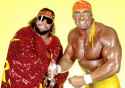 THE MEGA POWERS