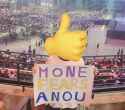 Anou