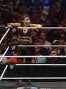 2.3 MB