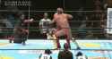 2.3 MB