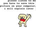 46 KB