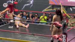 2.3 MB