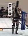 3 MB