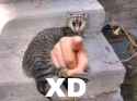 60 KB