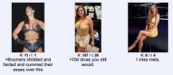 1.5 MB
