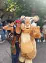 430 KB