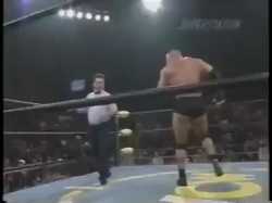 1.23 MB