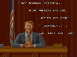 31 KB