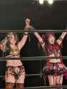1.26 MB