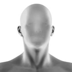 116 KB