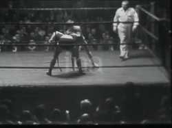 3 MB