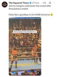 519 KB