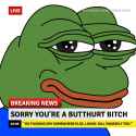 248 KB