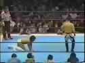 2.94 MB