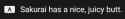 5 KB