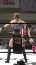1.33 MB