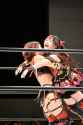 260 KB