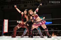 /Stardom/ General