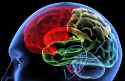 brain activation areas