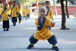 Rising-Warrior-Kids-training-Kung-Fu-at-home-1