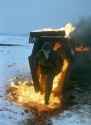 Soldier_of_the_NVA_wearing_a_gas_mask_during_an_obstacle_course._German_Democratic_Republic_1981