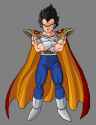 KingVegeta