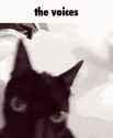 the voices