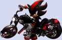 shadow-the-hedgehog--with-motorcycle-3494052916