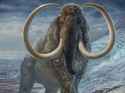 Mammoth_Posting