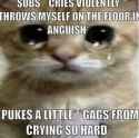 cat cries