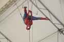 Spidey_Trapeze