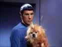 space-dog-kirk