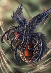birdarak